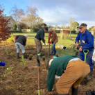 Extending the top planting 4. Cambridge Tree Trust